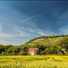 Wir sind Landessieger Sachsen-Anhalt | Leuchttürme der Tourismuswirtschaft