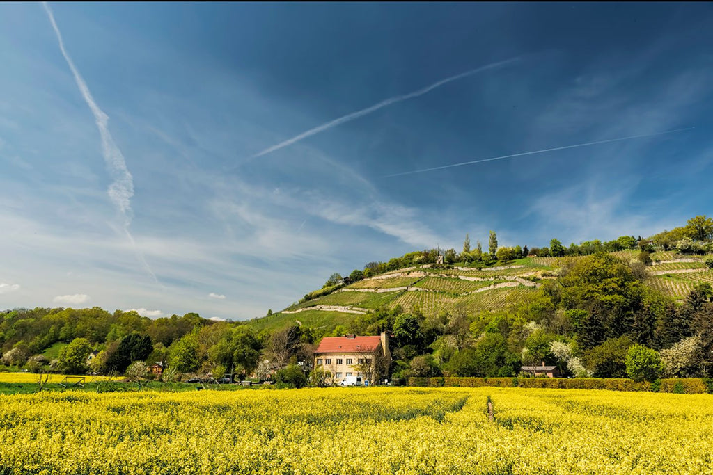 Wir sind Landessieger Sachsen-Anhalt | Leuchttürme der Tourismuswirtschaft