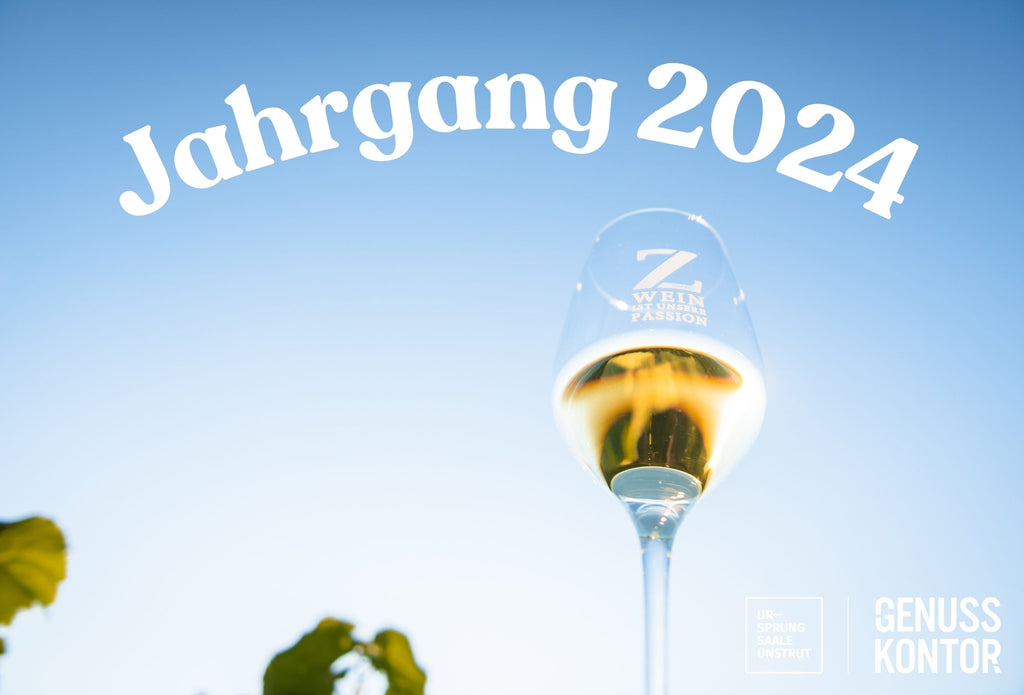 Jahrgang 2024 - Jungweinprobe im Thüringer Weingut Zahn