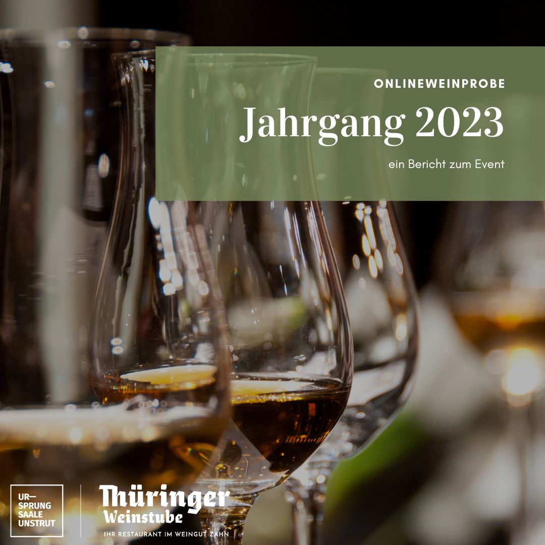 Jahrgang 2023 - Onlineweinprobe - Bericht